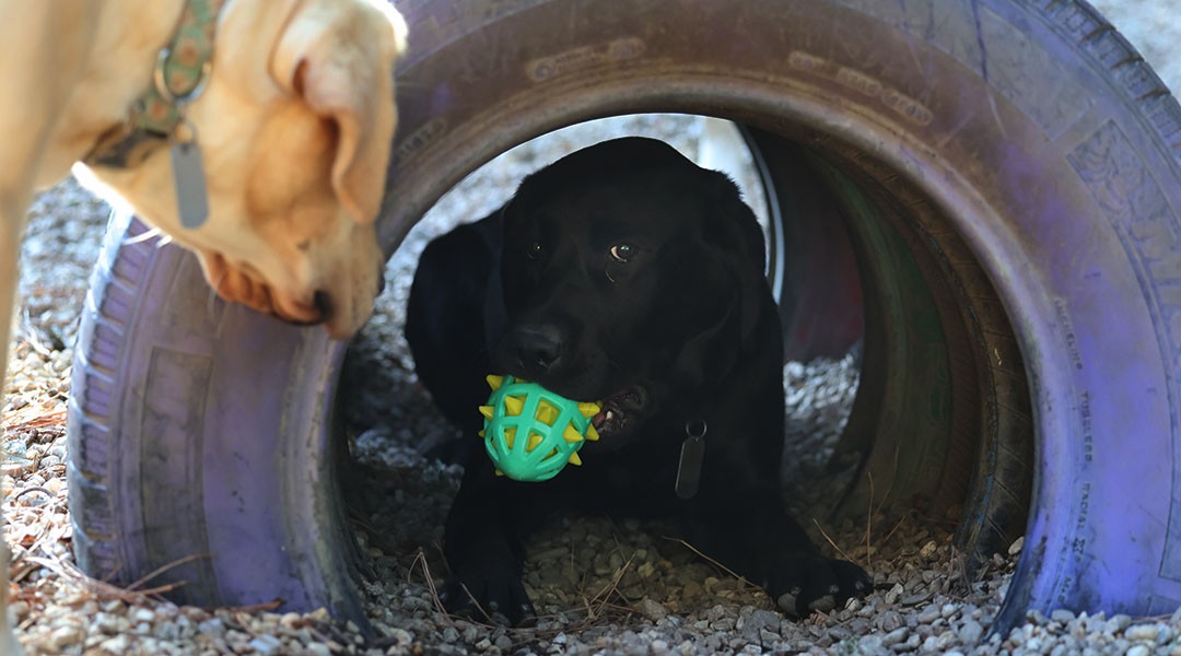 PAALS brings hope, healing to the Midlands