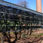 Students express frustration with USC sustainability efforts