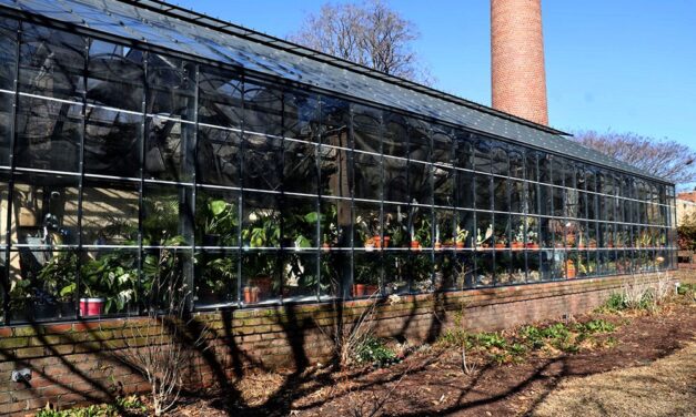 Students express frustration with USC sustainability efforts