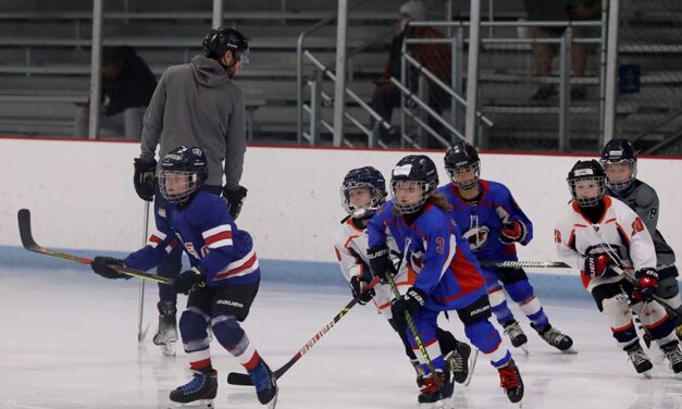 What? Youth hockey, figure skating trending in SC?