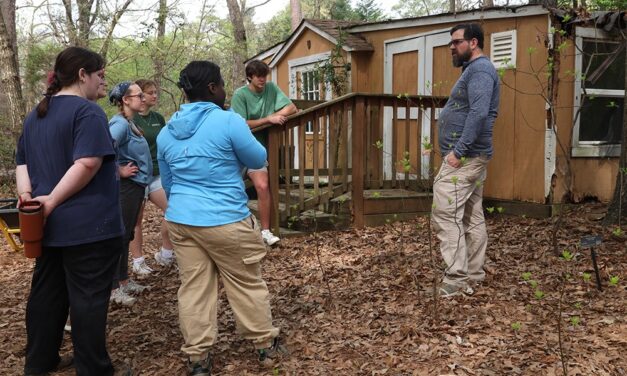 USC arboretum blooms as spring approaches 18 months after Helene