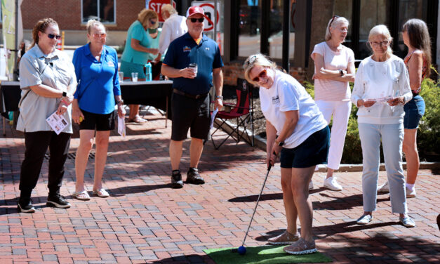 Alley Golf brings neighbors, visitors together for Vista art projects