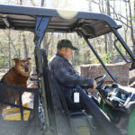 Building a life around his love of cows