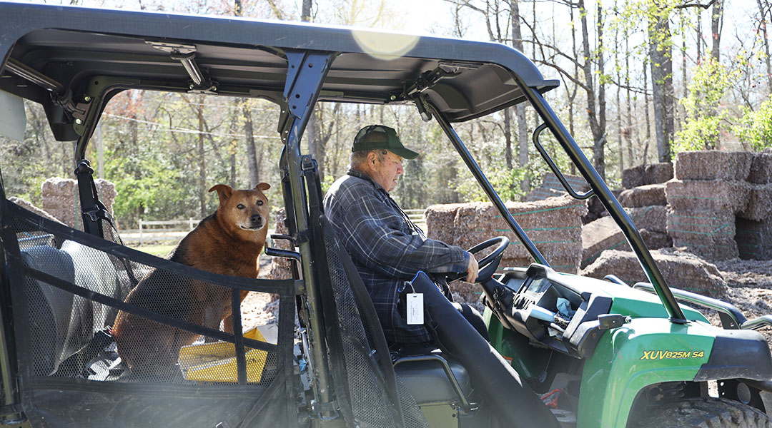 Building a life around his love of cows