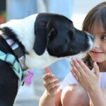 A wagging welcome at Cantina 76