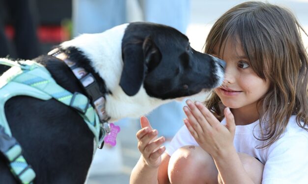 A wagging welcome at Cantina 76