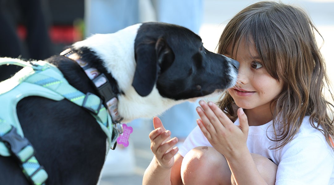 A wagging welcome at Cantina 76