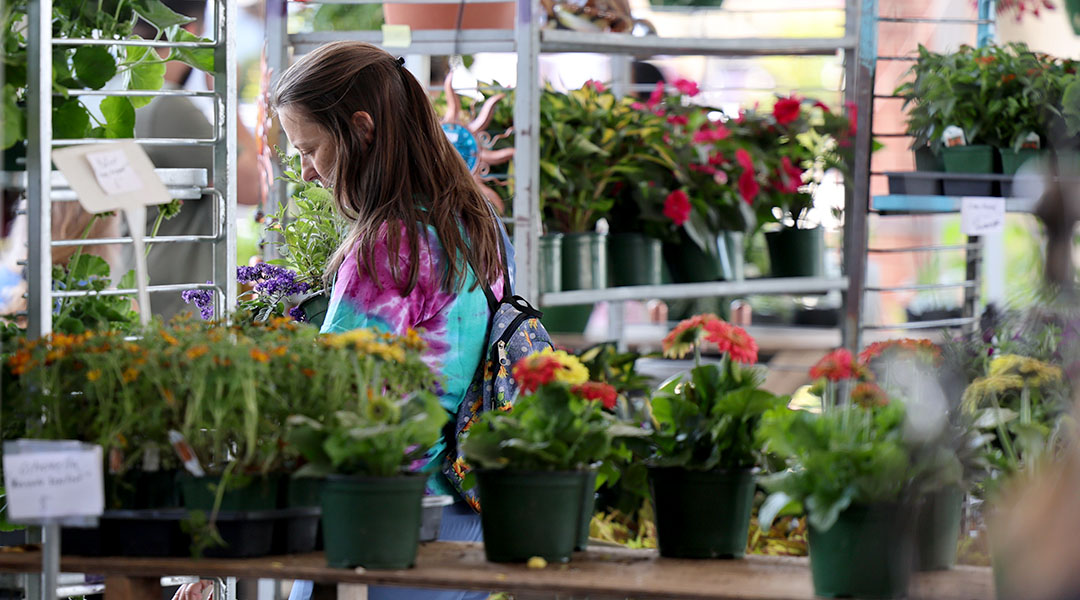 Spring in full bloom at Midlands Plant and Flower Festival