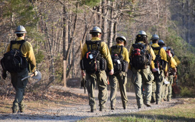 SC’s wildfire season blazes through the state