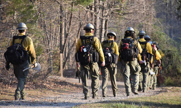 SC’s wildfire season blazes through the state