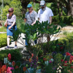 Historic Columbia’s gardens are growing community