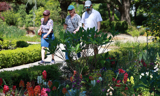 Historic Columbia’s gardens are growing community