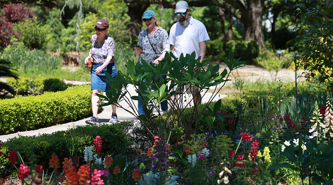 Historic Columbia’s gardens are growing community