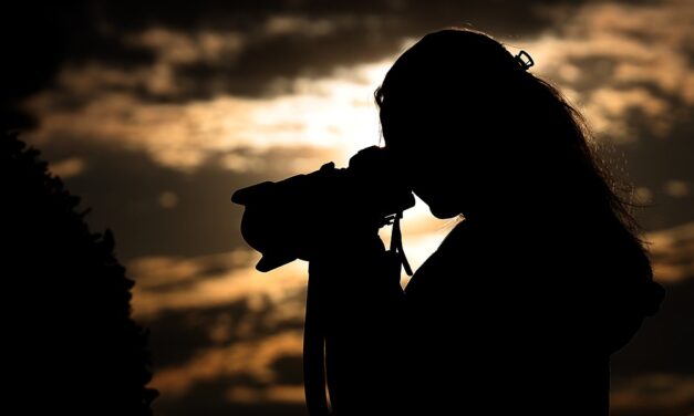 From dawn to dusk. Chasing light and horses